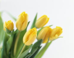 ����C���[�W